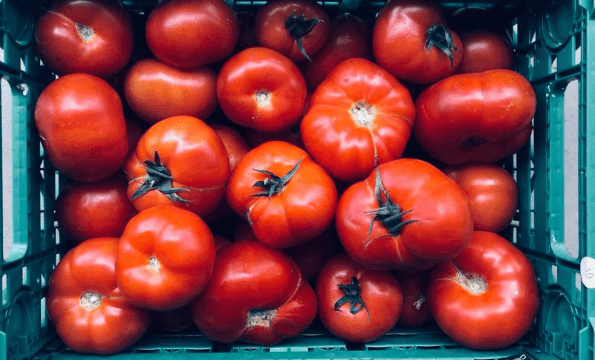 MARCHÉ FRUITS & LÉGUMES FRAIS EN LIGNE | CHF 10.- offerts