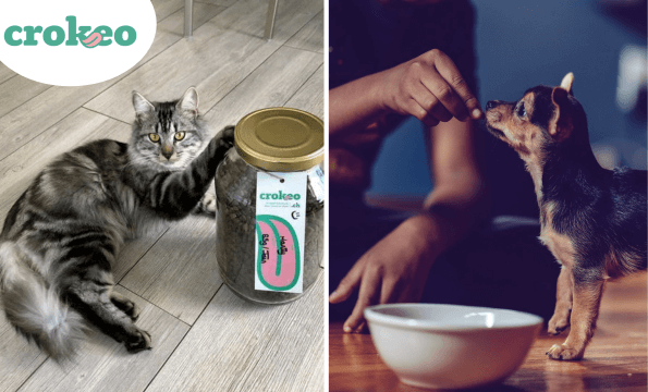 ALIMENTATION CHIENS ET CHATS | Test offert