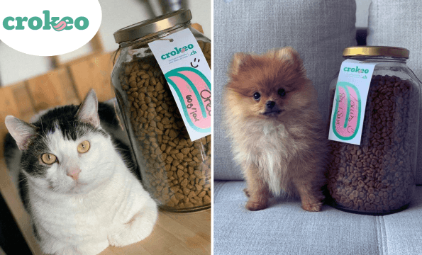 ALIMENTATION CHIENS ET CHATS | Test offert