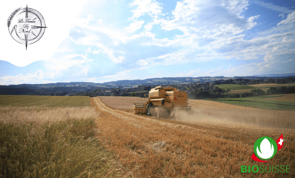 FERME DU NORD FERLENS | Assiette de grillades bio offerte