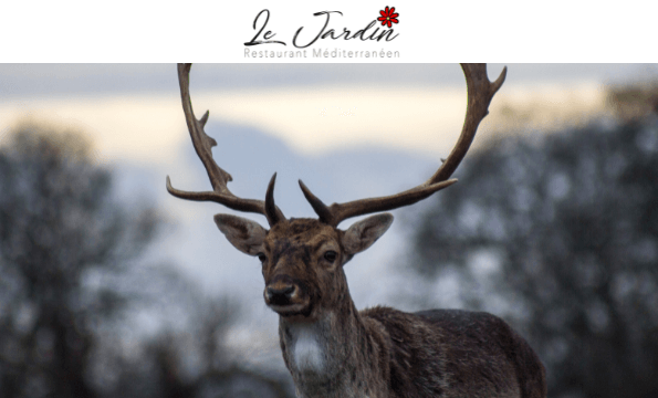 MENU CHASSE AUBONNE | CHF 20.- offerts