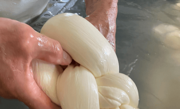 MOZZARELLA DU TERROIR | Mozzarella offerte