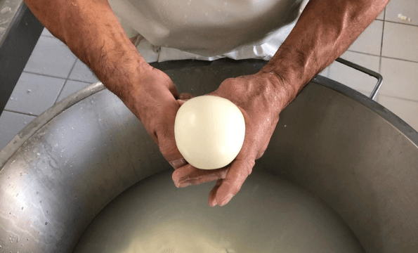 MOZZARELLA DU TERROIR | Mozzarella offerte