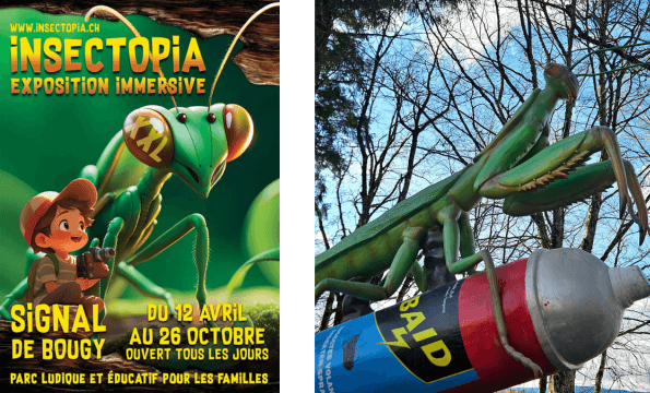 INSECTOPIA EXPOSITION IMMERSIVE | Entrée offerte