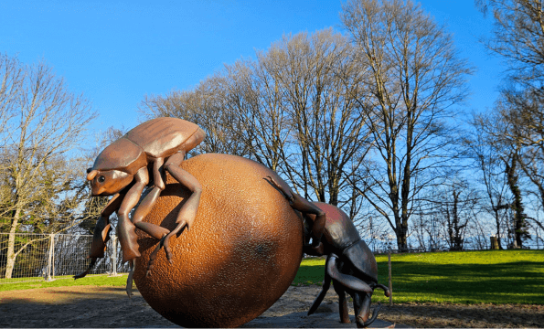 INSECTOPIA EXPOSITION IMMERSIVE | Entrée offerte