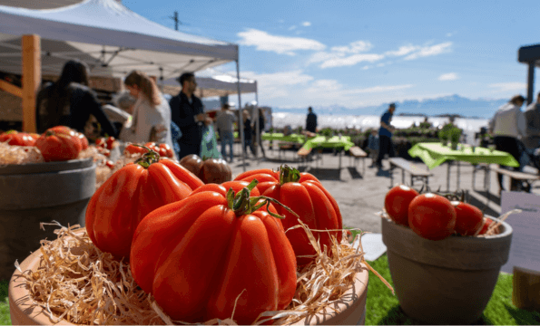 PRODUCTEUR LOCAL | 1KG offert