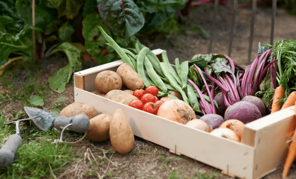 SUPERMARCHÉ BIO | 20% de remise